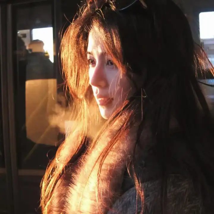 完美伴侣